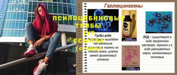 ГАЛЛЮЦИНОГЕННЫЕ ГРИБЫ Алексин
