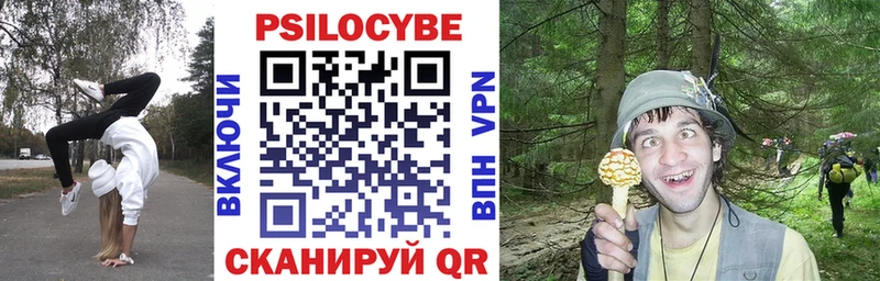 Псилоцибиновые грибы мицелий  Бокситогорск 
